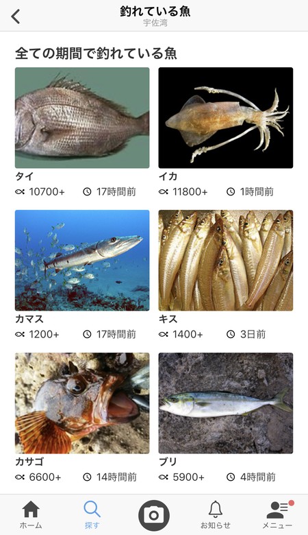 過去に釣れた魚の確認ができる