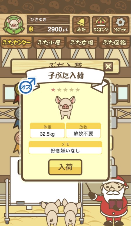 ランク別に子ぶたが入荷できる