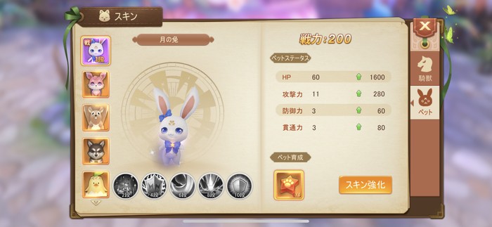 スキン