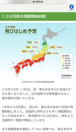 花粉情報