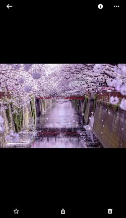 高画質画像を無圧縮保存