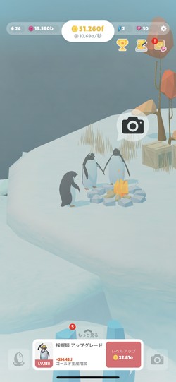 ペンギンを撮影