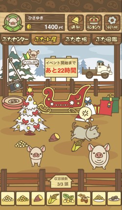 養豚場の様子